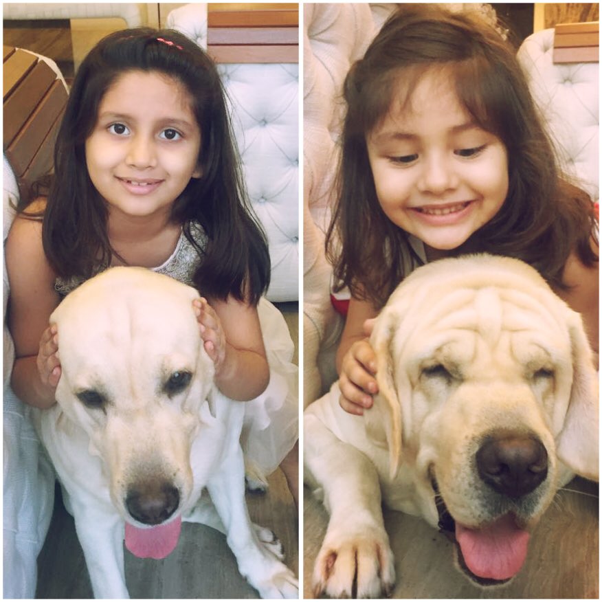 Ayana &amp; Amaira care about protecting Dude from all the noise by closing his ears. Instead, let's go noise-free for a #PAWsitive Diwali!