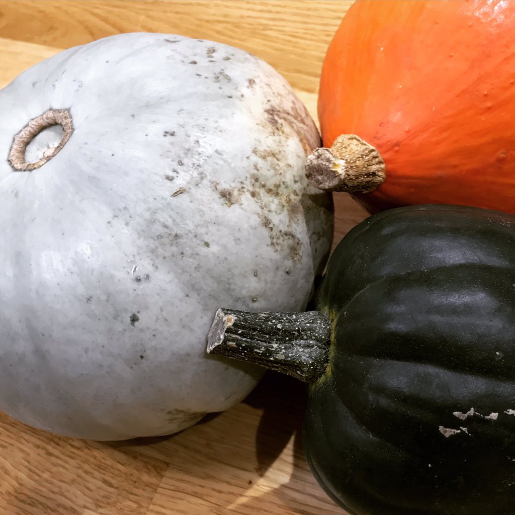 WeePinchofSugar's tweet photo. The 3 pumpkins I talked about on @BBCKitchenCafe #crownprince #acorn #redkuri #halloween https://t.co/VmTuvuXI79