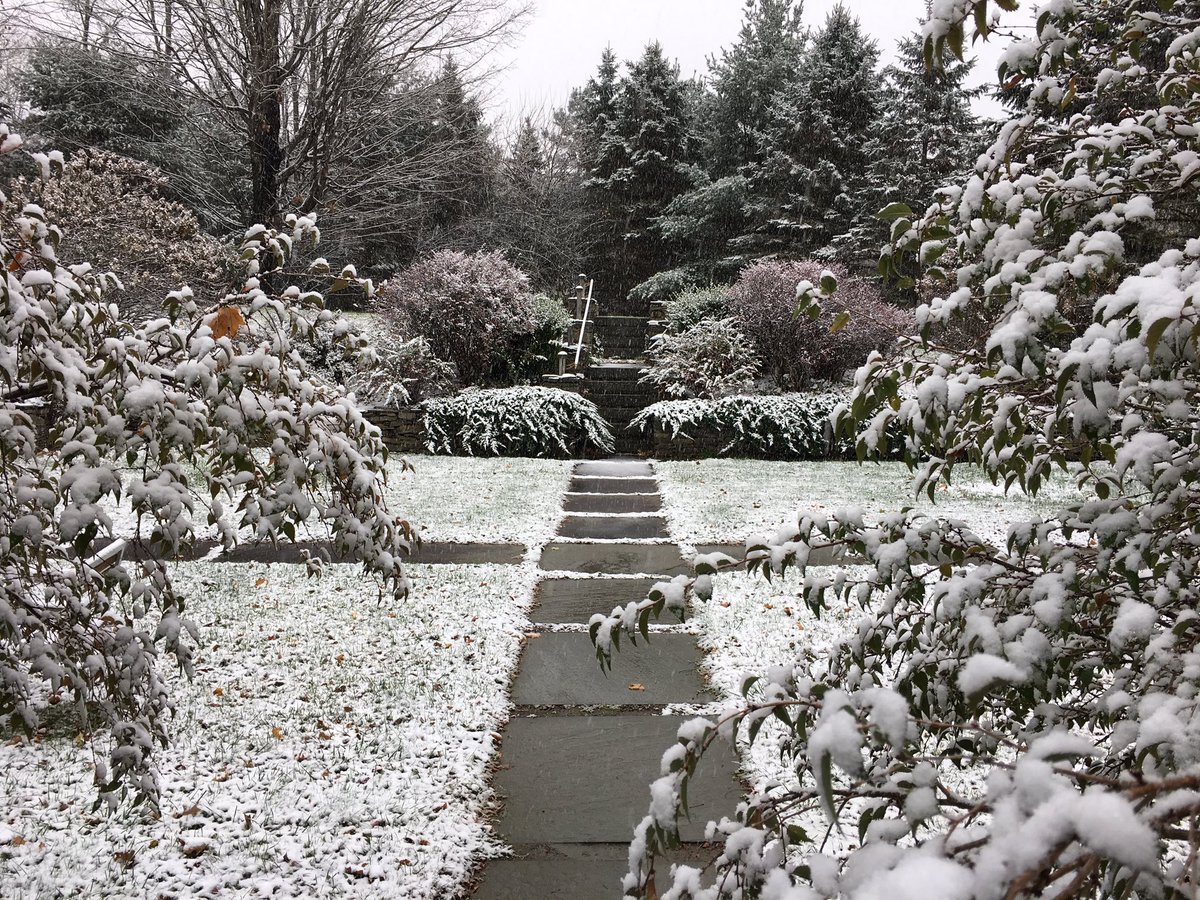 VideoCaptionCo's tweet image. Winter crept up on our NY office!