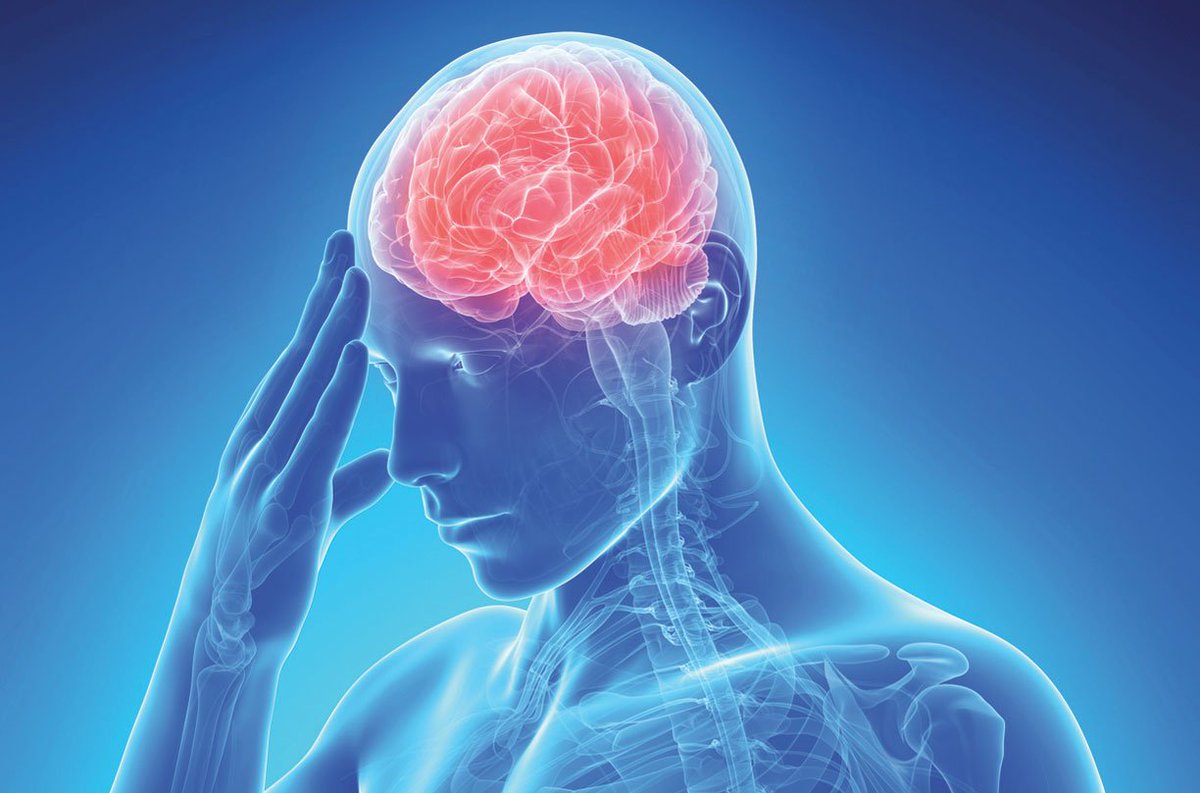 vitaly_prl's tweet photo. Los neurólogos atribuyen al estilo de vida el pico de casos de #ictus entre jóvenes: tabaco, sedentarismo, estrés... https://t.co/cCVtPMmWoK https://t.co/xJKotGpBgP