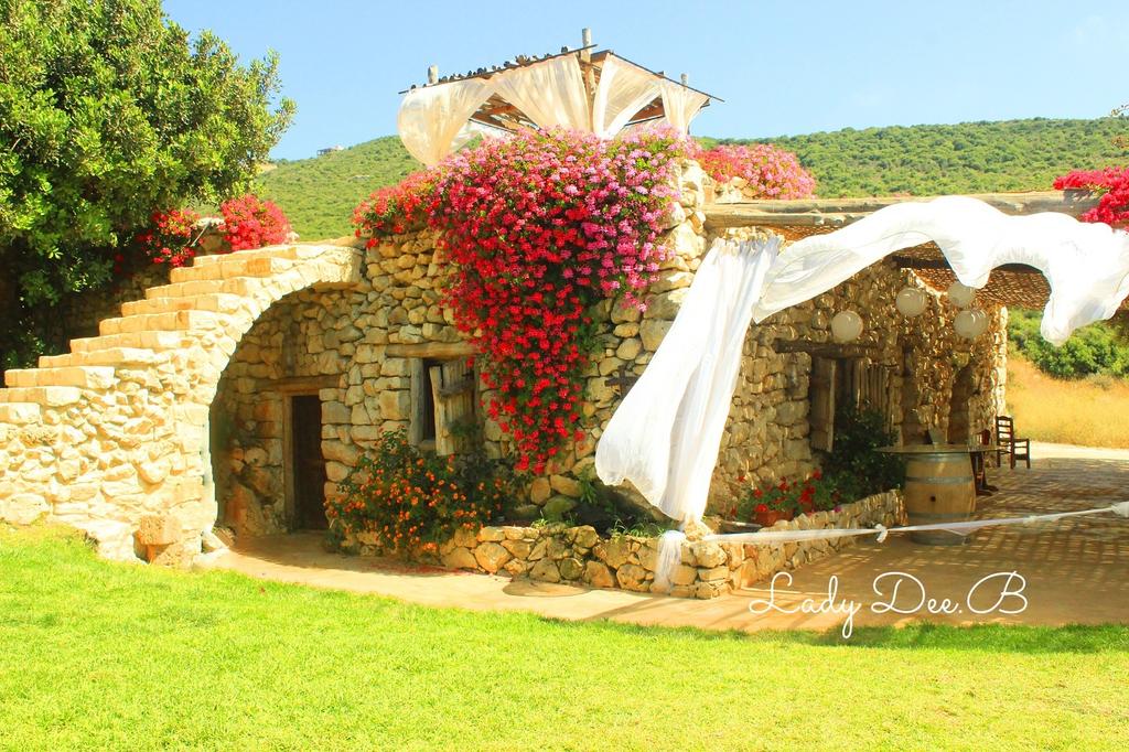 Lady_Dee_B's tweet photo. #arnaoon #arnaoonvillage #lebanon #photography #photooftheday #oldhouse #colors #colorful #Weather https://t.co/BeHdhnb4ou