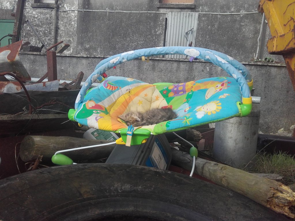 One final use for this old bouncy chair that's skip bound