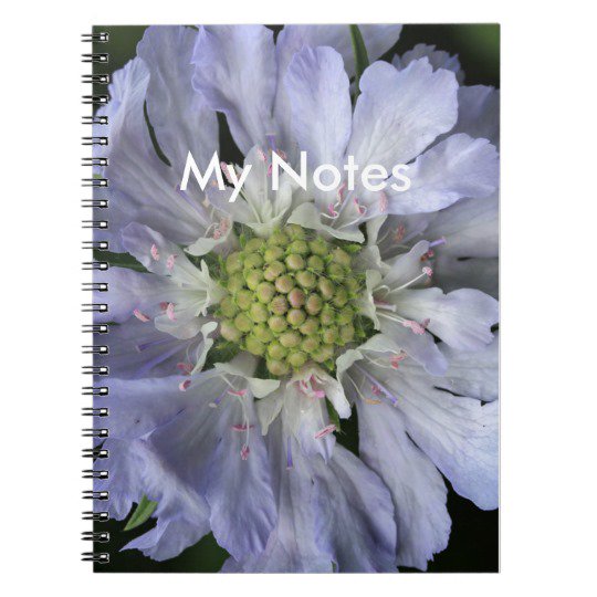 Designed a notebook with the beautiful Scabiosa flower.tinyurl.com/jgv94tf #flowers #photography #Zazzle #garden