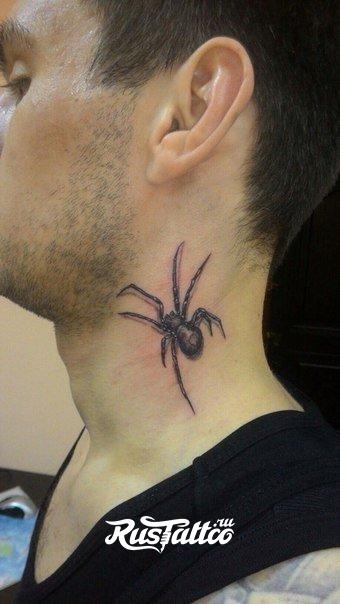 Тату паук 3д. Тату паук. Тату паук. Значение паука на шее. Тату паук.