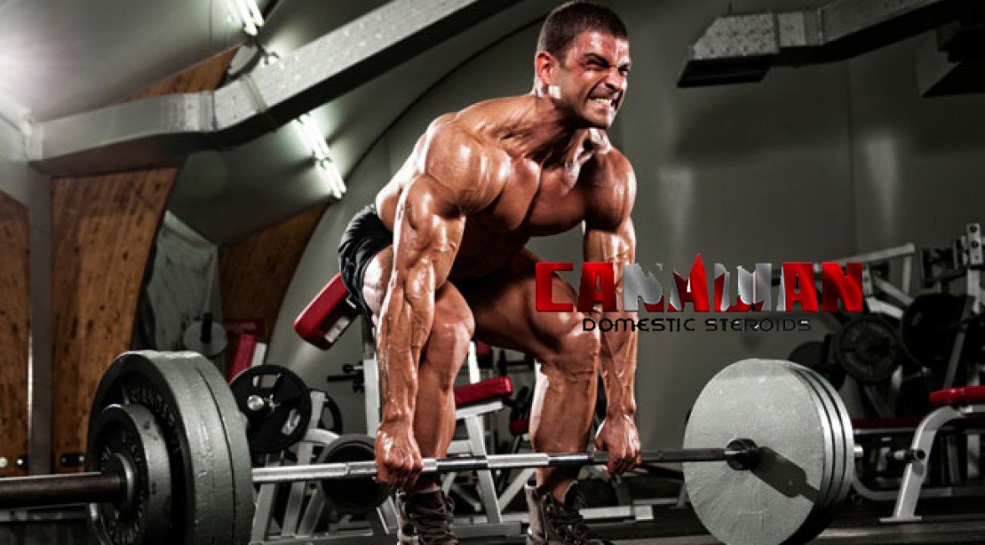 how long does it take for steroids to work - Pay Attentions To These 25 Signals