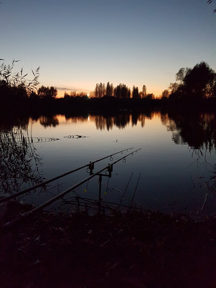 Bearded Carper (@beardedcarper) on Twitter photo 