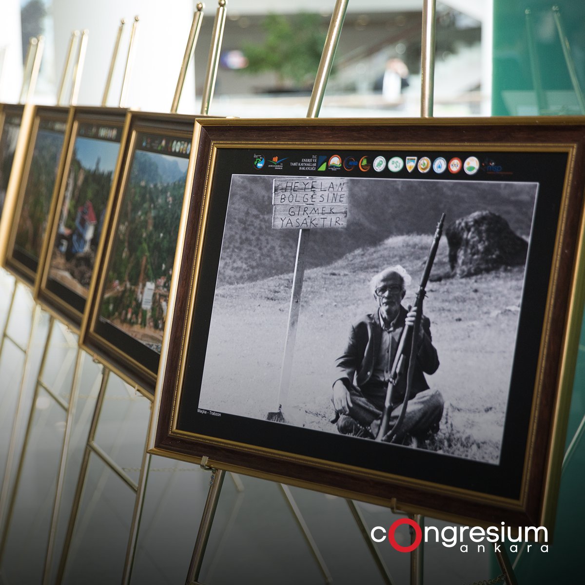 Congresium tweet media