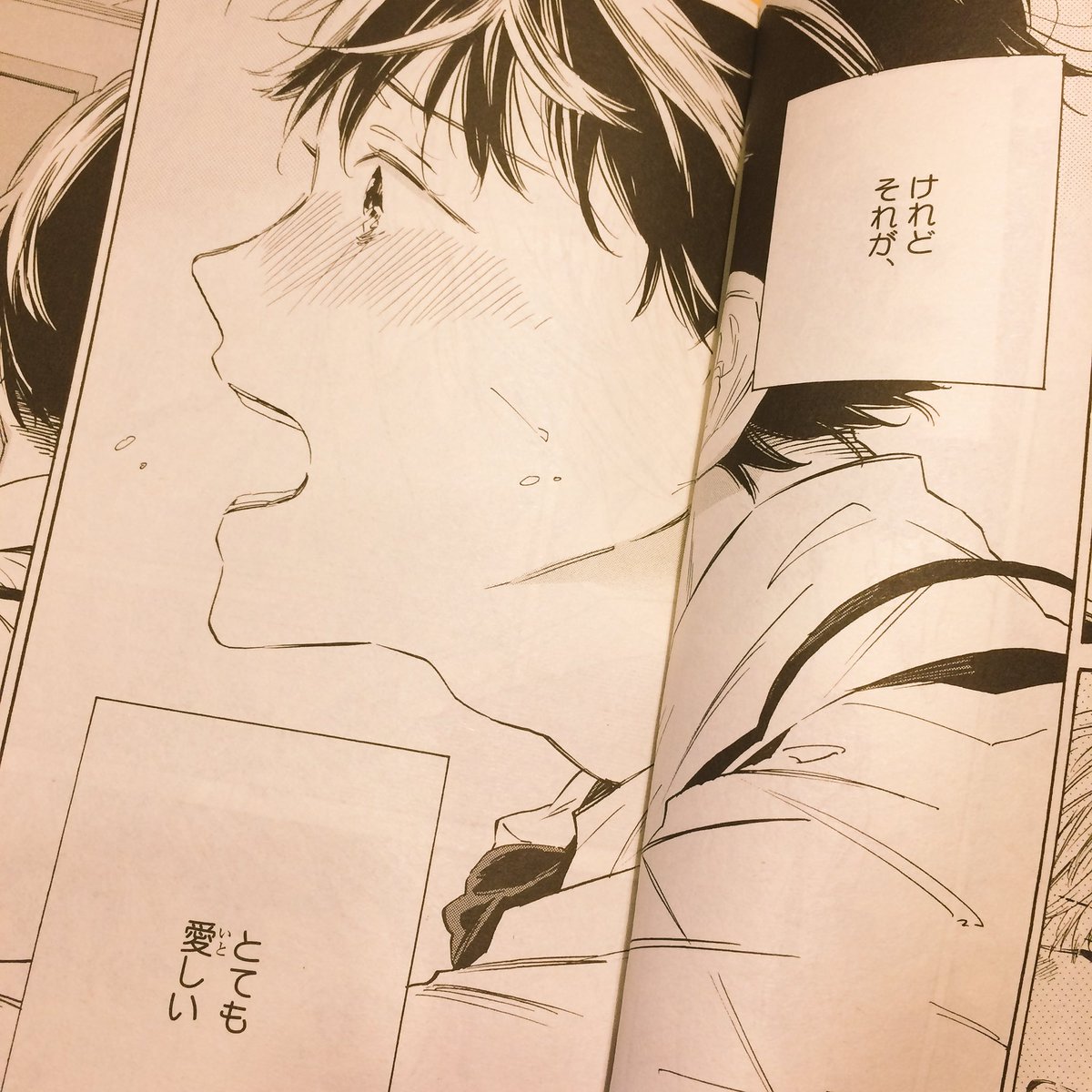 献本いただきました。あした発売?のBE•BOY GOLD12月号さんにまんが載せていただいています。連載4話目30Pです。また、企画コーナーにも参加させていただいています。最後のアライグマの巾着は編集さんが新沼くんに似ているということでくださいました…!黒目の感じがたしかに…! 