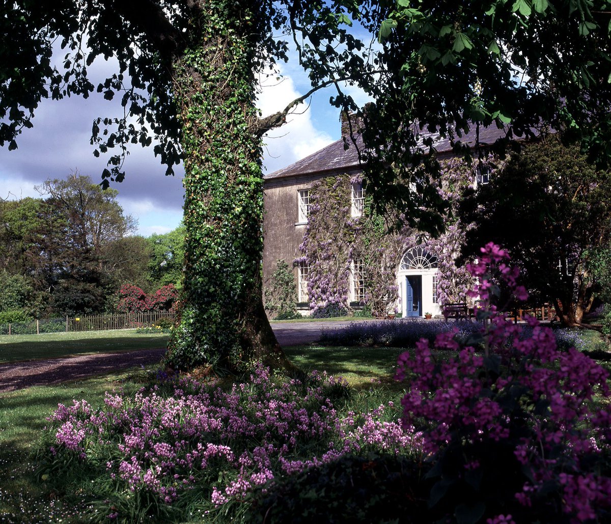 Ballymaloe's tweet photo. Posting a classic image of @Ballymaloe in celebration of #IEINTERNETDAY16 https://t.co/PigrKKCrqh #ireland #TourismMatters #Irelandonline https://t.co/Cb6H8zSD9n