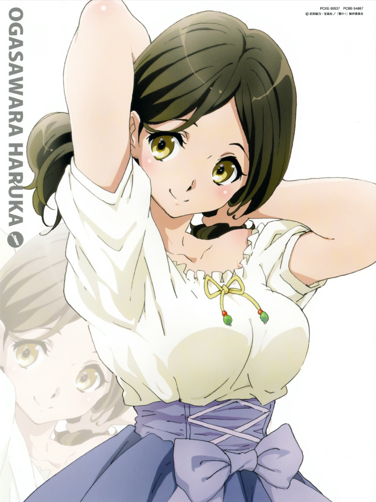Amazon.co.jp: 小笠原晴香 バースデーキャンバスアート 「響け
