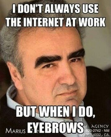 HorseflyInsight's tweet photo. #TBThursday #oldbutgold #workmemes https://t.co/6XiJWLo8xo