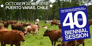 Intelitec's tweet photo. Hasta mañana estamos en #PuertoVaras, en la Sesión Bienal del #ICAR2016. Visítenos y conozca lo más avanzado en #trazabilidadanimal #ganado https://t.co/3uwfTxUHU0
