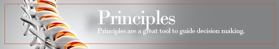 Jason_Suttie's tweet image. Principles are a great tool to guide decision making. ow.ly/oaE8305ymxM #SpineModel #Agile #FinTech @foundery_za #Disruption