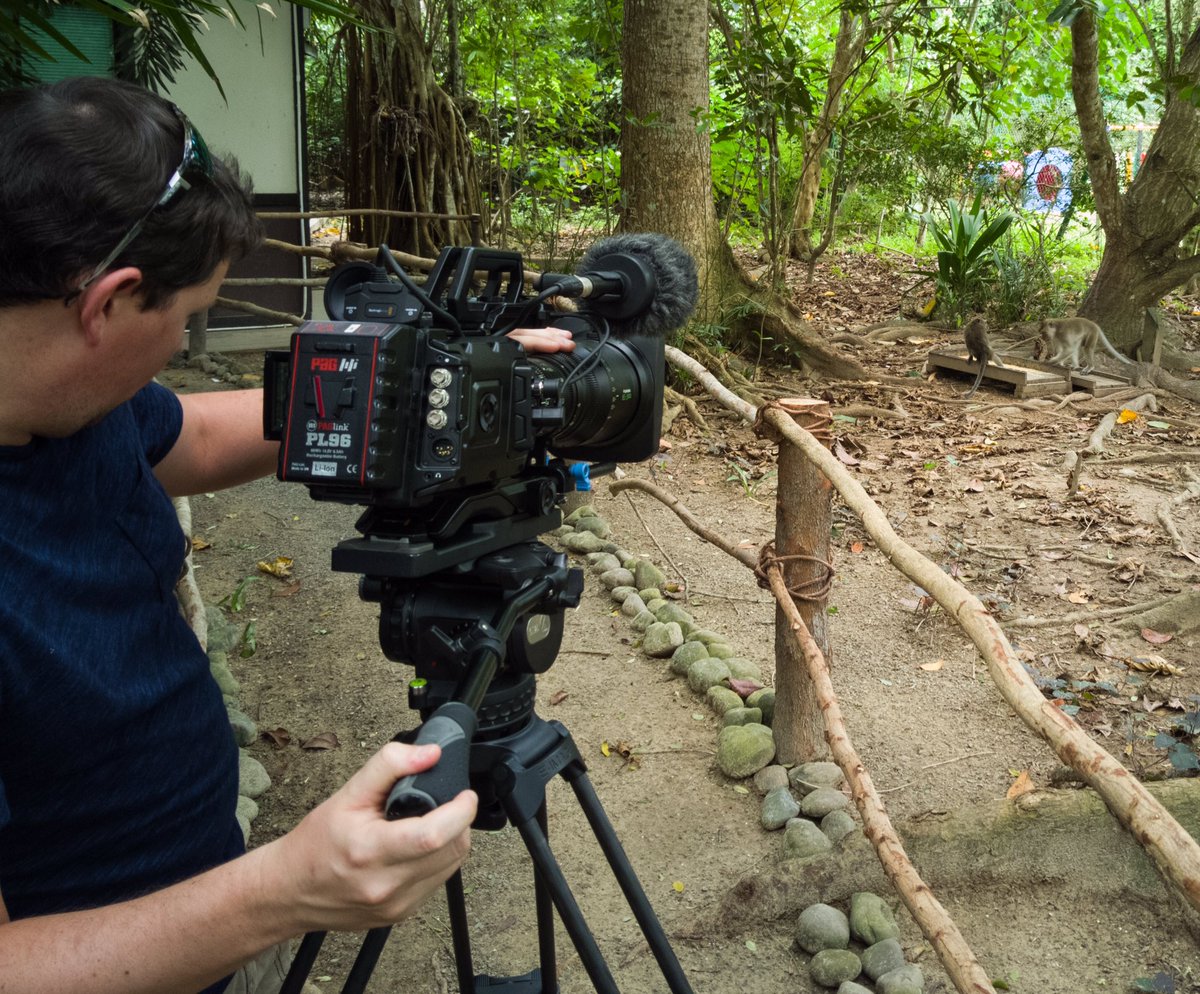 Kevin_Babey's tweet photo. Just monkeying around with long tailed macaques!  #ProjectBorneo @Blackmagic_News @FujinonOptics @PAG_UK @camRade @GB_Labs @rrrshangrila https://t.co/7feks9bt8v