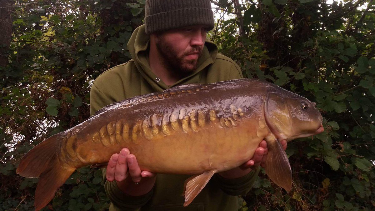 pole_ash1245's tweet photo. Had this one from a local lake on a quick 2 hour session https://t.co/2pNI7IhBhH