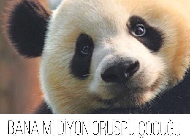 "Kilo mu aldın sen?" diyenlere genel cevabım..