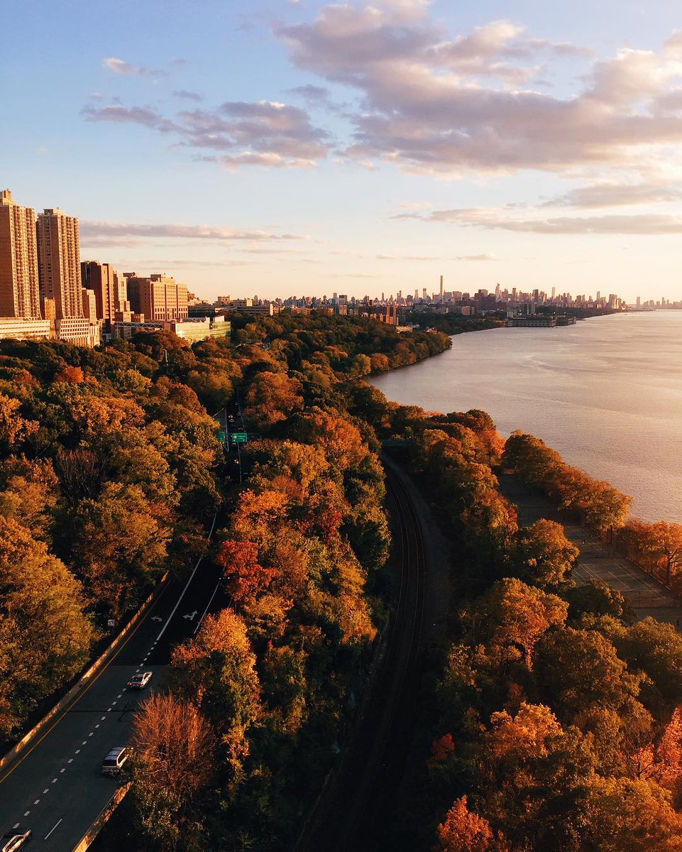 moment's tweet photo. When city and nature collide. // #ShotOnMoment by @tjDocena https://t.co/vKyKppbW3t