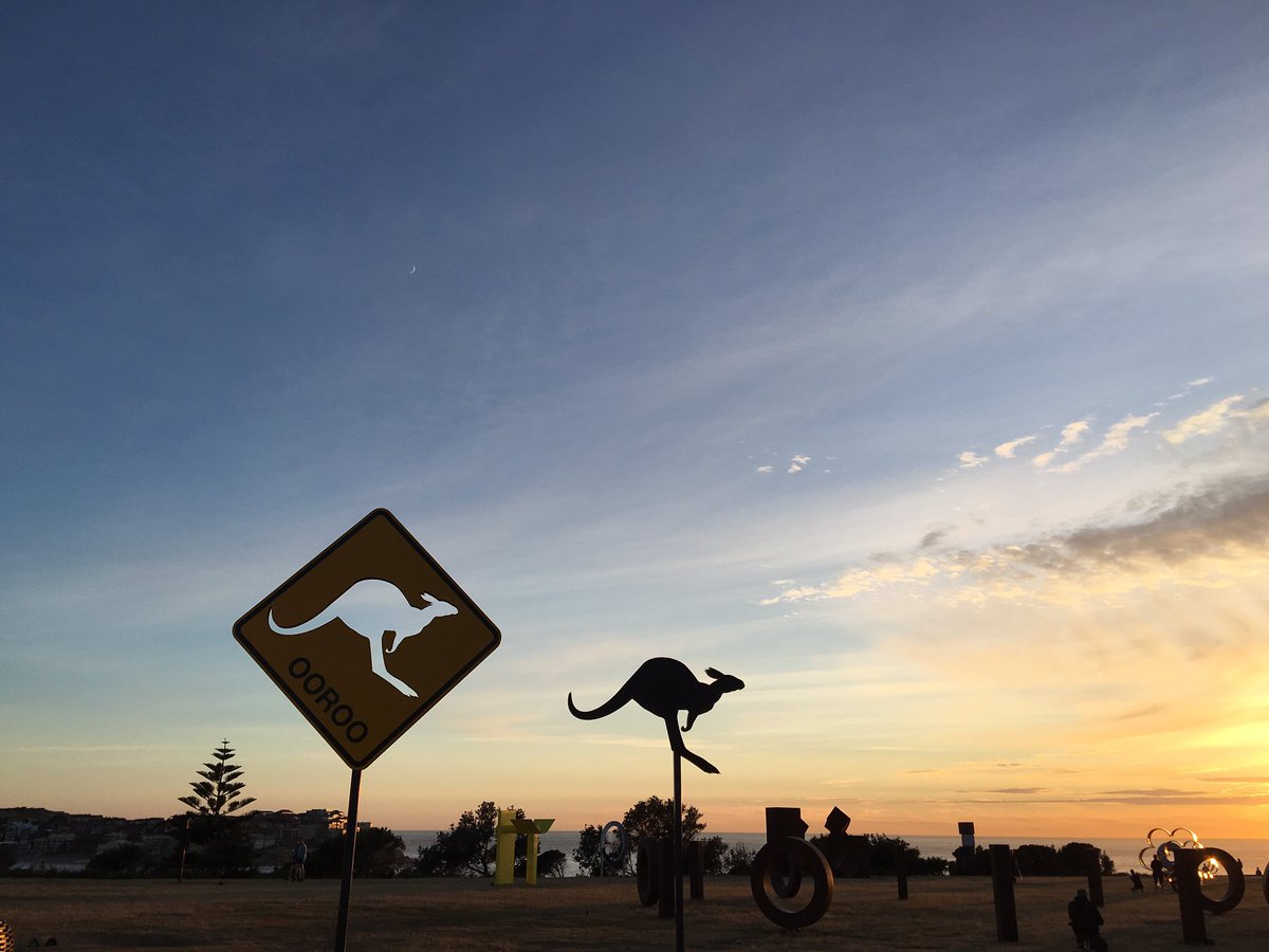 Photos from my new morning routine: walks from Bondi to Coogee. Talk about coastal wake up perfection 😍 #wakingupinaustralia #bondibeach