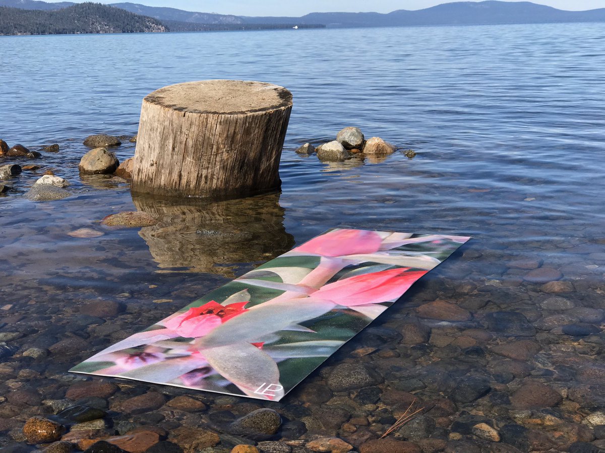 lilacpr0ject's tweet photo. Oh Tahoe, you never disappoint. #fall #yoga #yogamat https://t.co/umZ15dhW2u