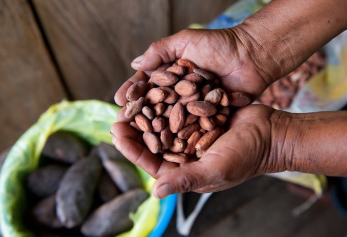 AGRA_Africa's tweet photo. Transformation of African agriculture is more than just producing more food. Systems need to become healthier,&amp; profitable as well #7thADFNS https://t.co/IIvsr4Eg9z