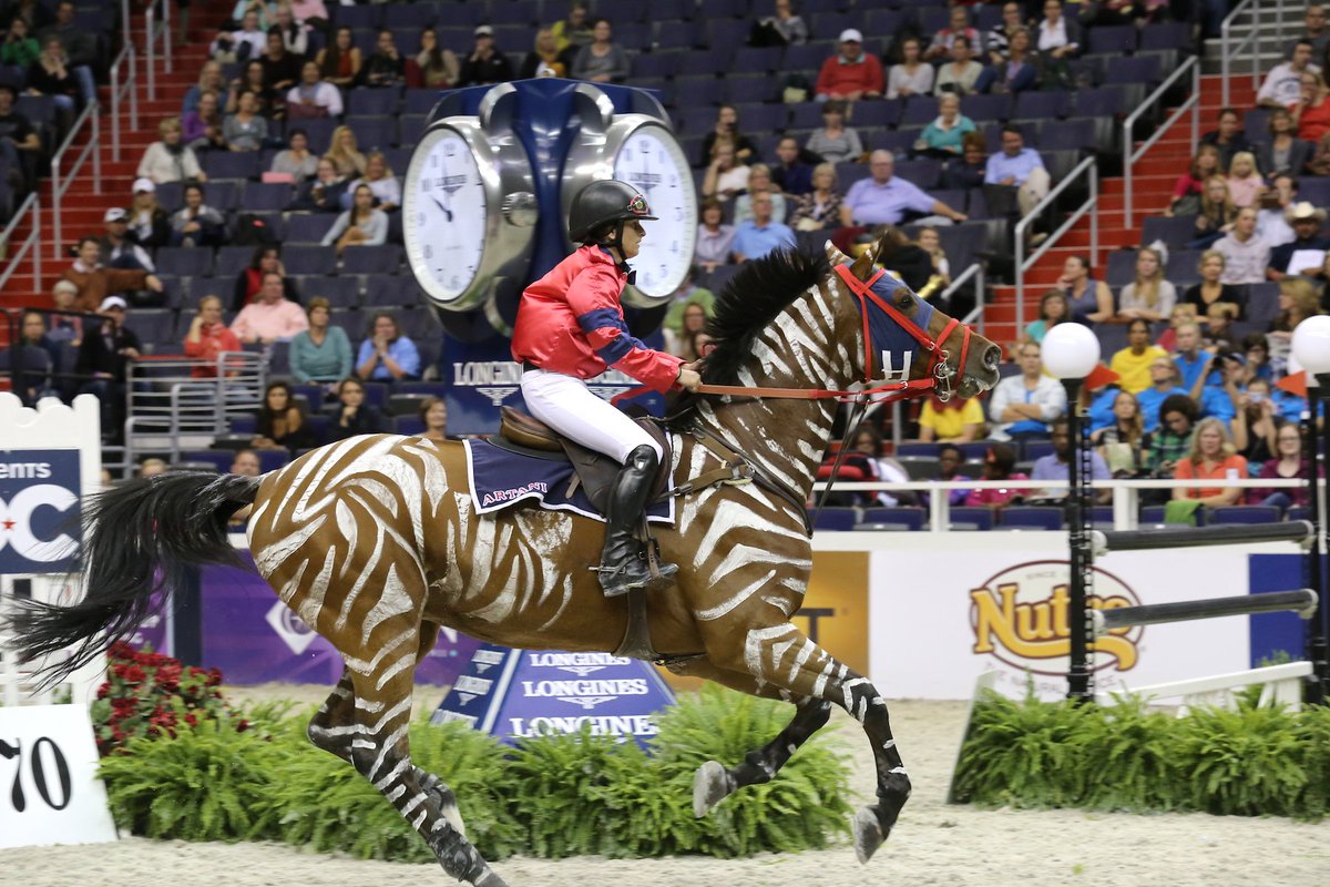 USEFNetwork's tweet photo. More fun @WIHS: Shetland Pony Racing &amp; the $35,000 Int. Jumper Costume Class take place tonight! #ponypower

Watch: https://t.co/SHAVpotdzA https://t.co/M7A35g3p99