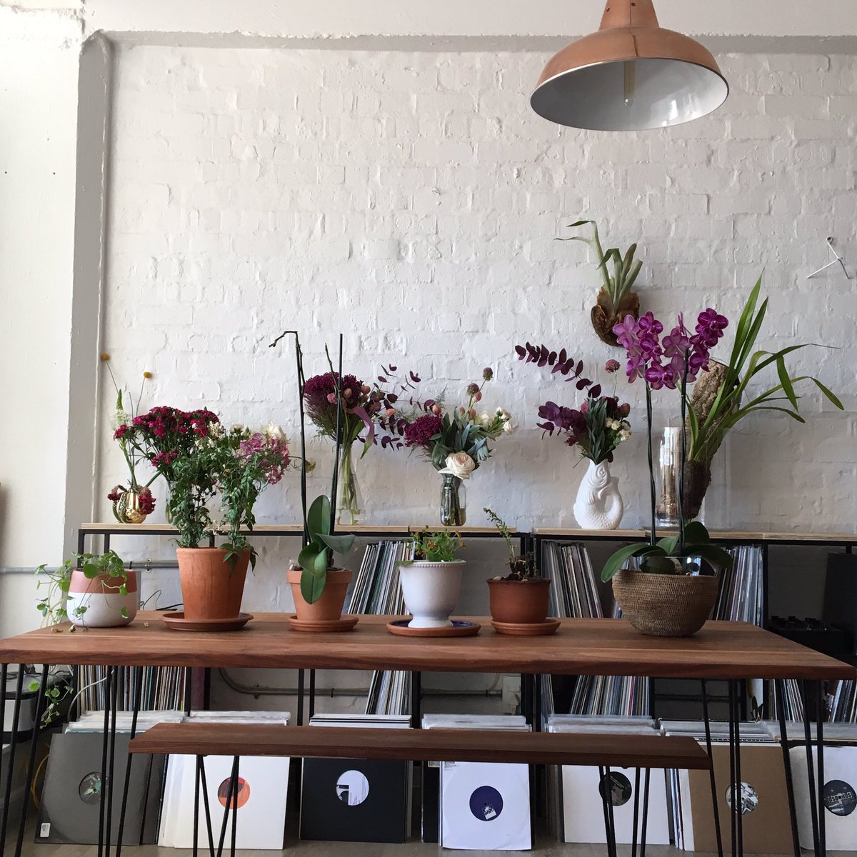 Tried to tell him to stop bringing records home then he was like "plants". Touché motherfucker.