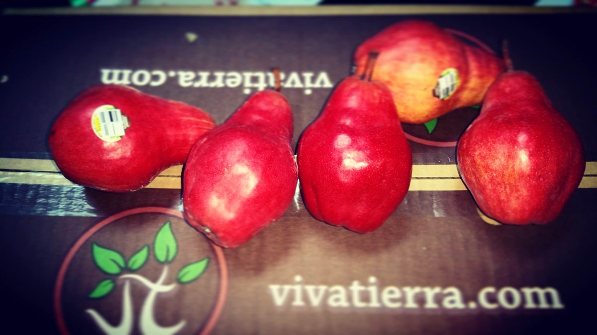 vivatierra's tweet photo. #Red #Pears are a fun way to celebrate the season! Ask your #local #produce manager for availability! #organic #organictothecore #fruits https://t.co/NNzXVS5Xtl