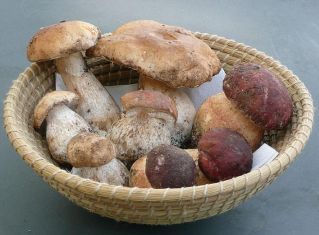 CookingDistrict's tweet image. Our #RecipeOfTheDay is an autumnal Chestnut &amp;amp; Porcini soup from Chef Patrick Ponsaty cookingdistrict.com/cd/recipes.nsf…