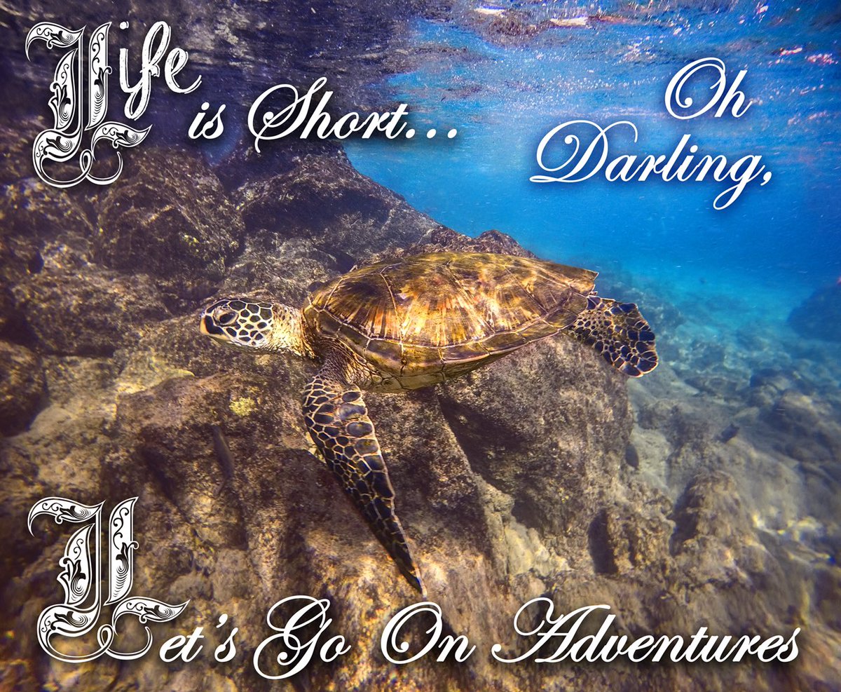 ASportNewmarket's tweet image. Adventure trip coming up!
goo.gl/JjSsGB

#adventuretravel #adventureaddicts #scubatravel #lovelife