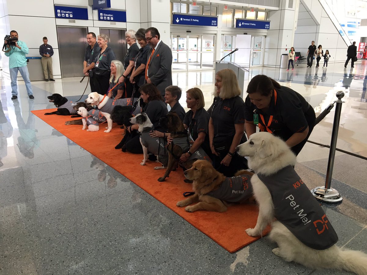 threeboxinc's tweet photo. We loved debuting the #DogsofDFW and their handlers in orange carpet style! https://t.co/GT2NomZw0H
