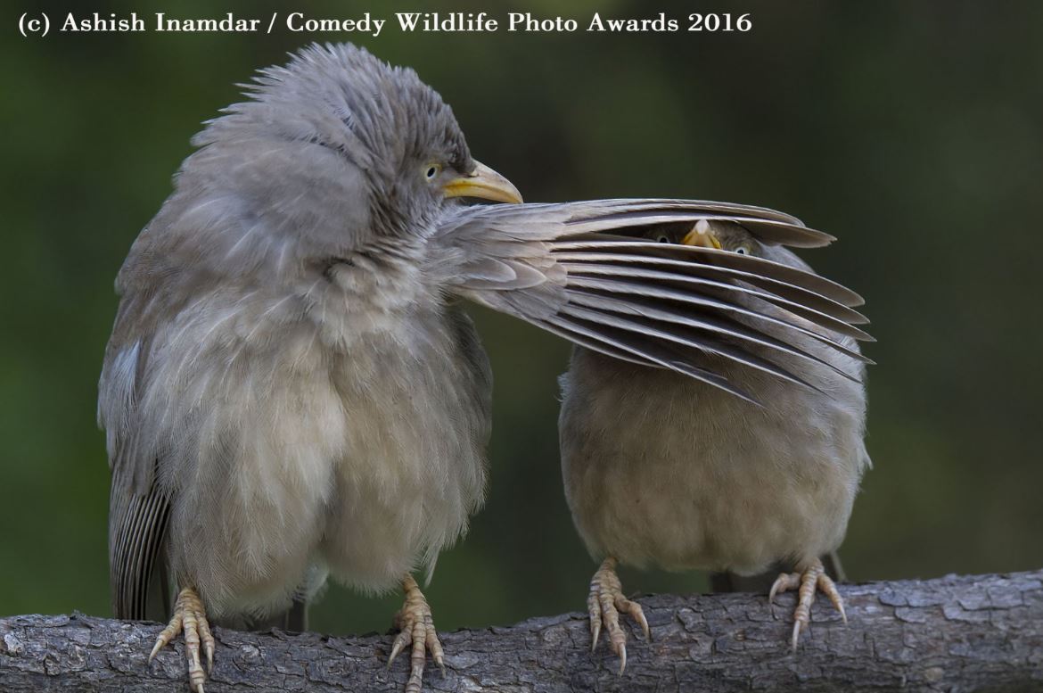 Shhhh.....not until I've had another coffee. #avlcoffee