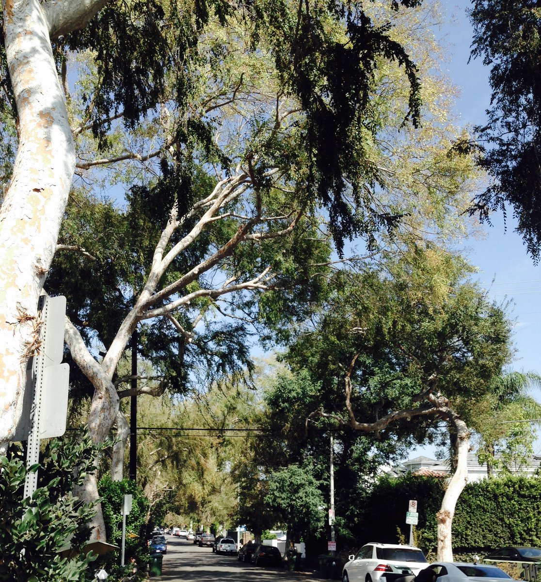 Oslo Parks (@osloparks) on Twitter photo 