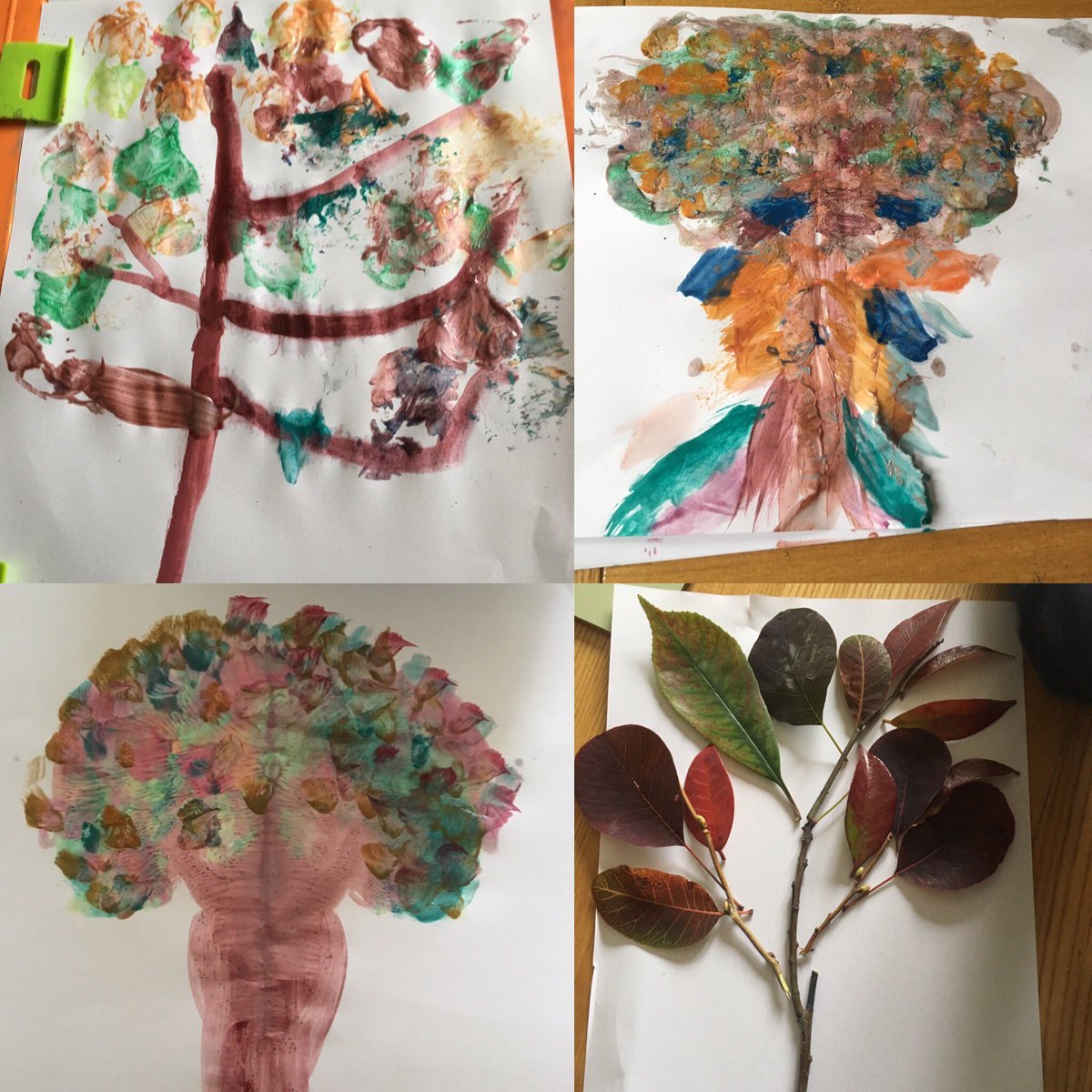 Danielle Clark  ✨ tweet media