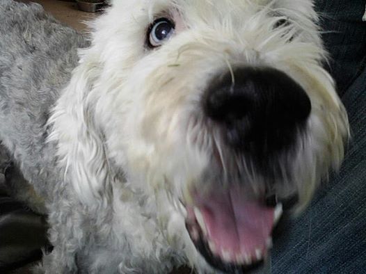 7 years, and I miss you every day x