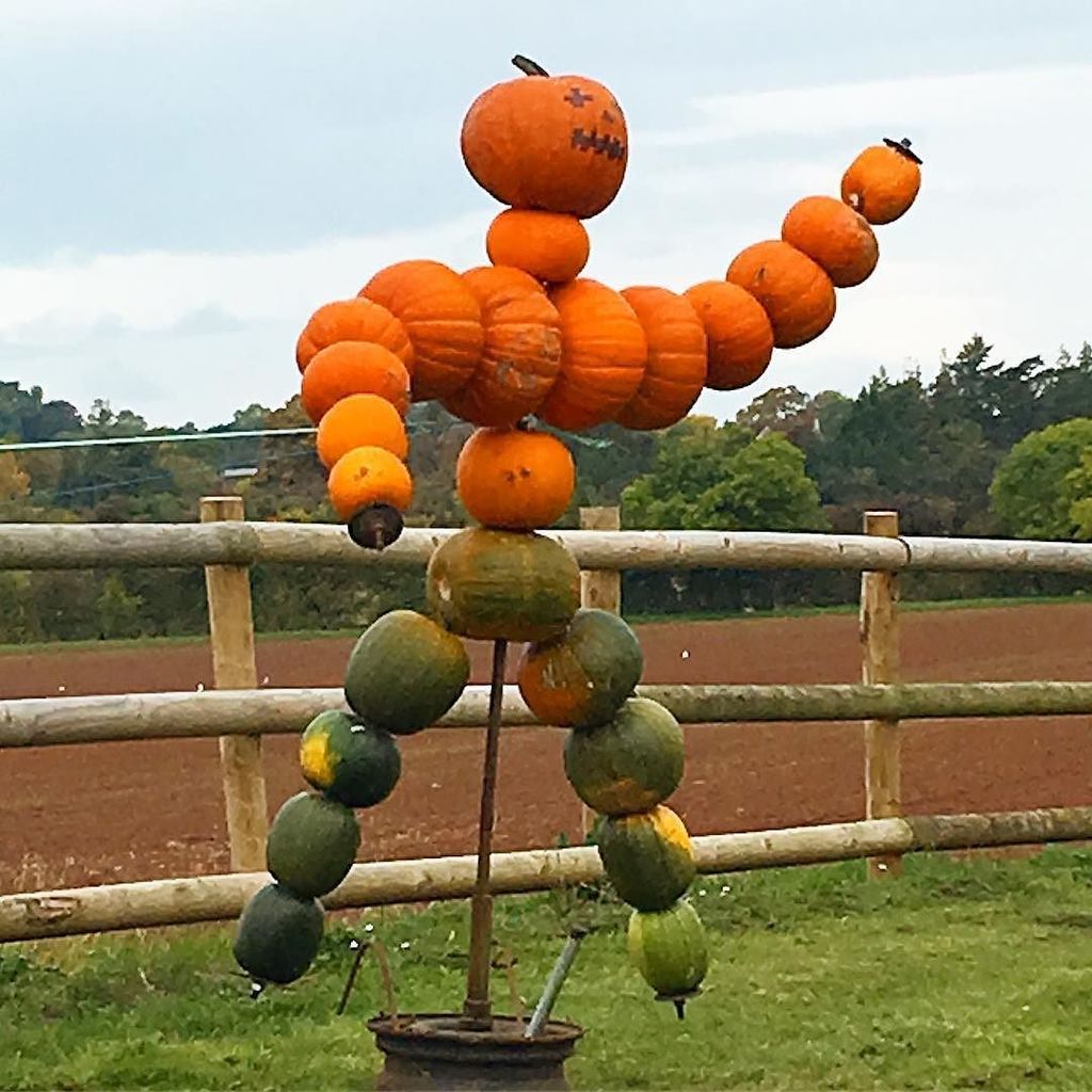 Louisa Foti tweet media