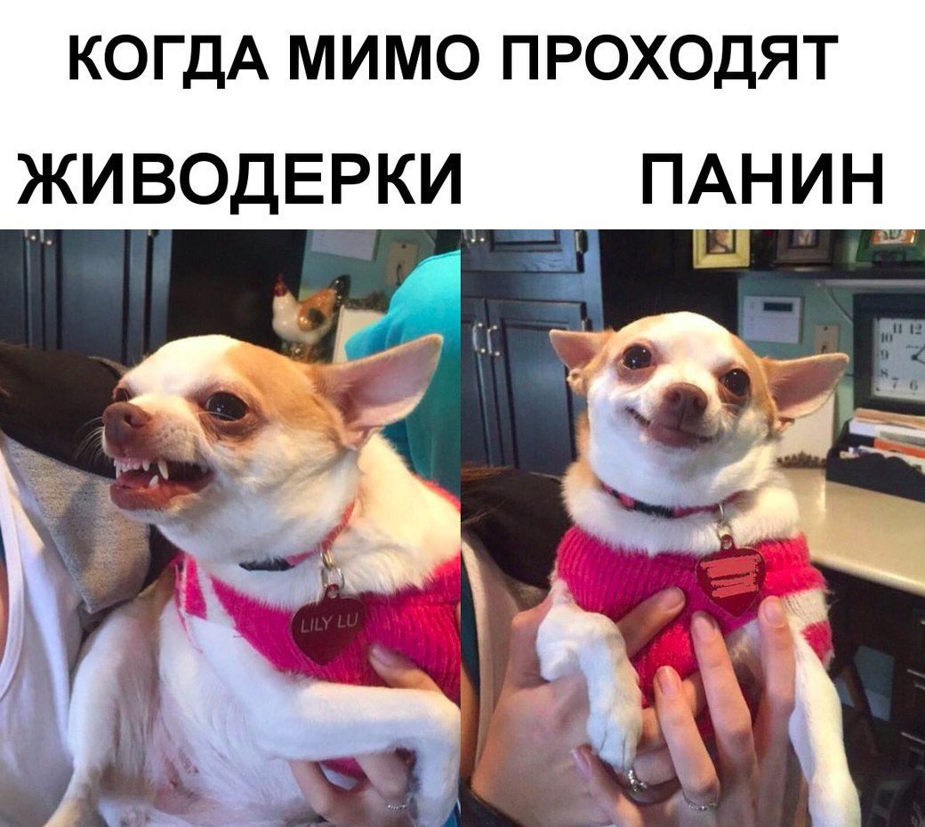 Cvydbg6XYAUMb2T.jpg