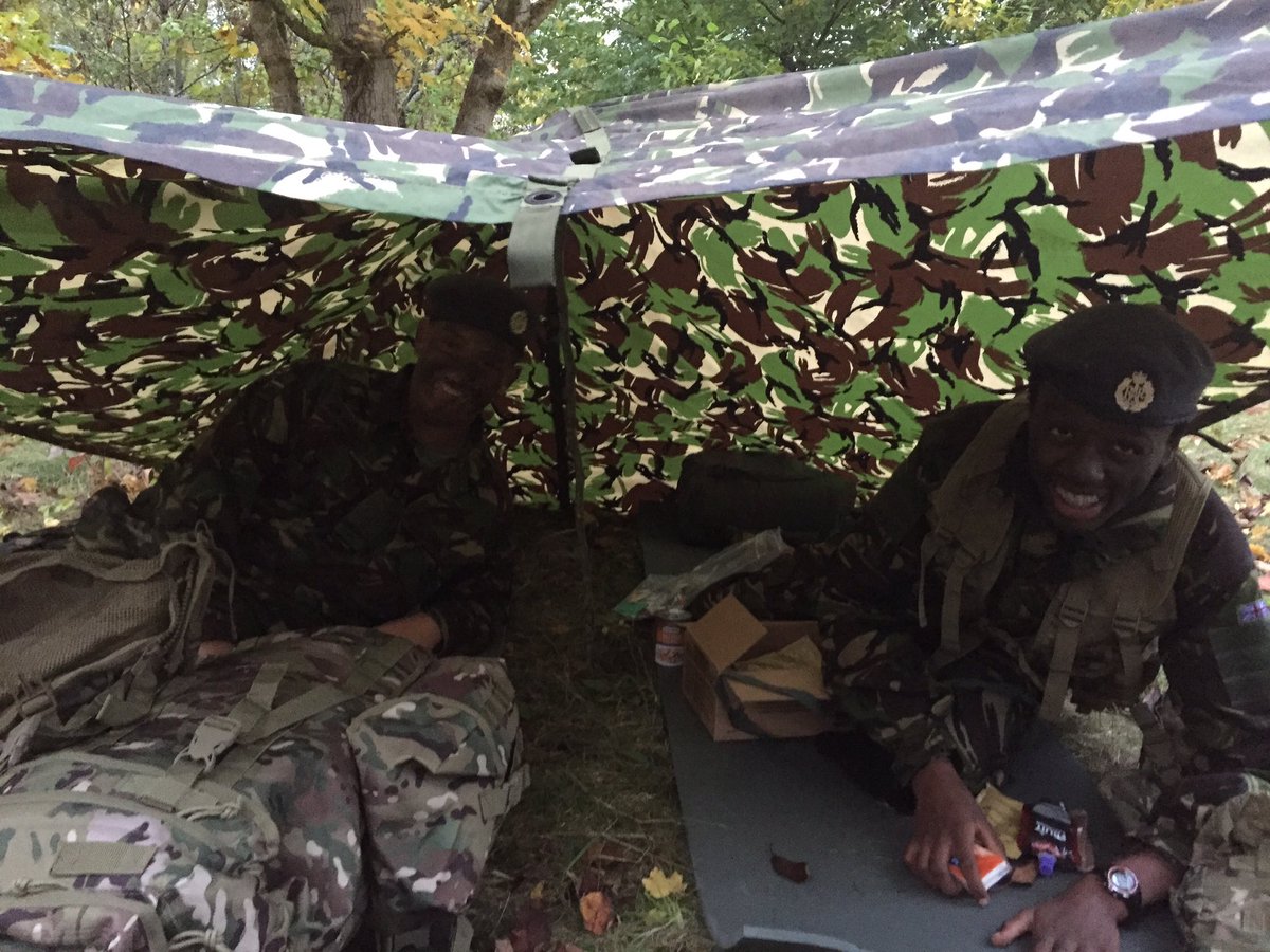 OSA - CCF tweet media