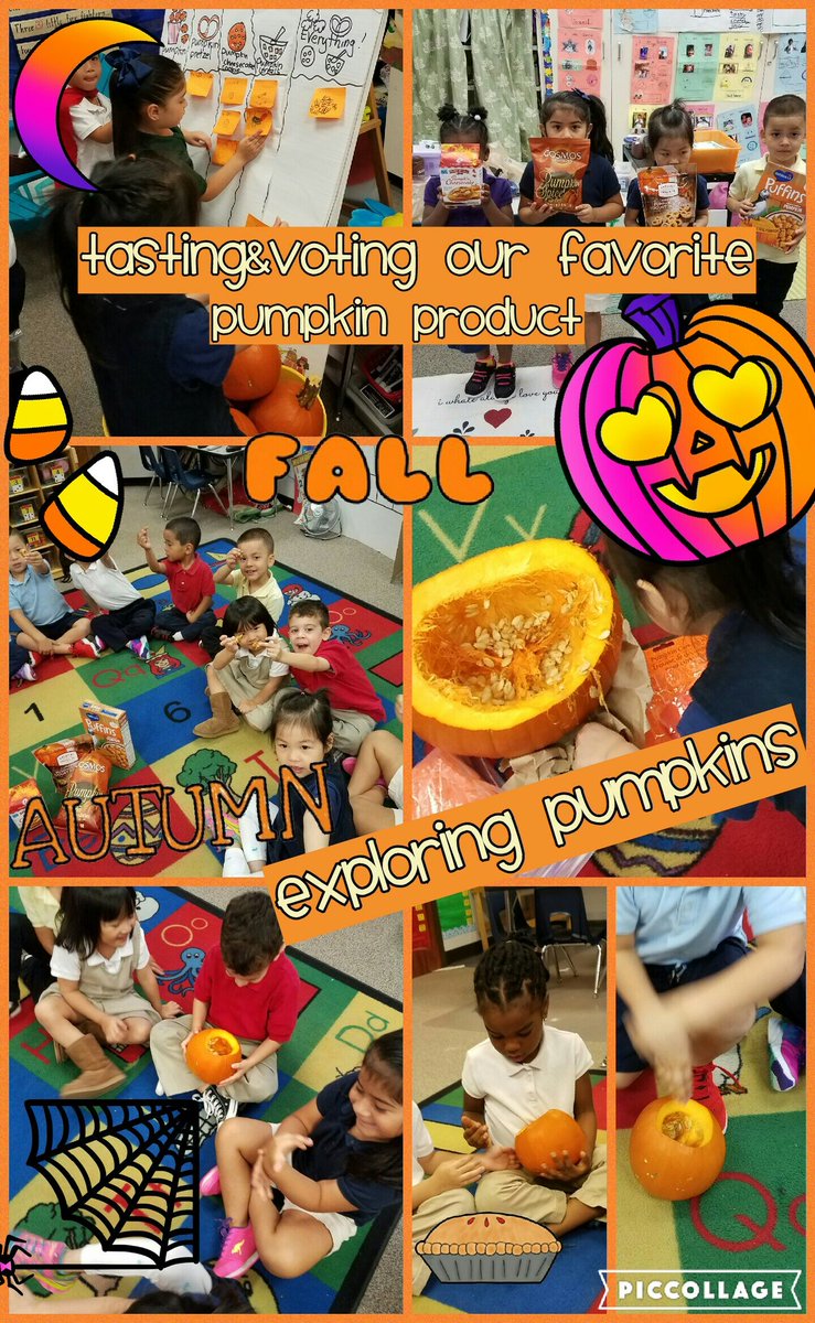 MsPaternoPreK's tweet photo. #integratingMath,Science,SocialStudies,&Literacy#hicks1617#pumpkinfunactivities https://t.co/Bo1LQMJ4EQ