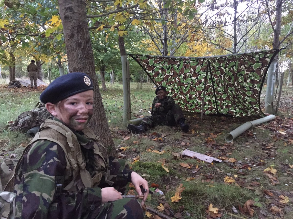 OSA - CCF tweet media