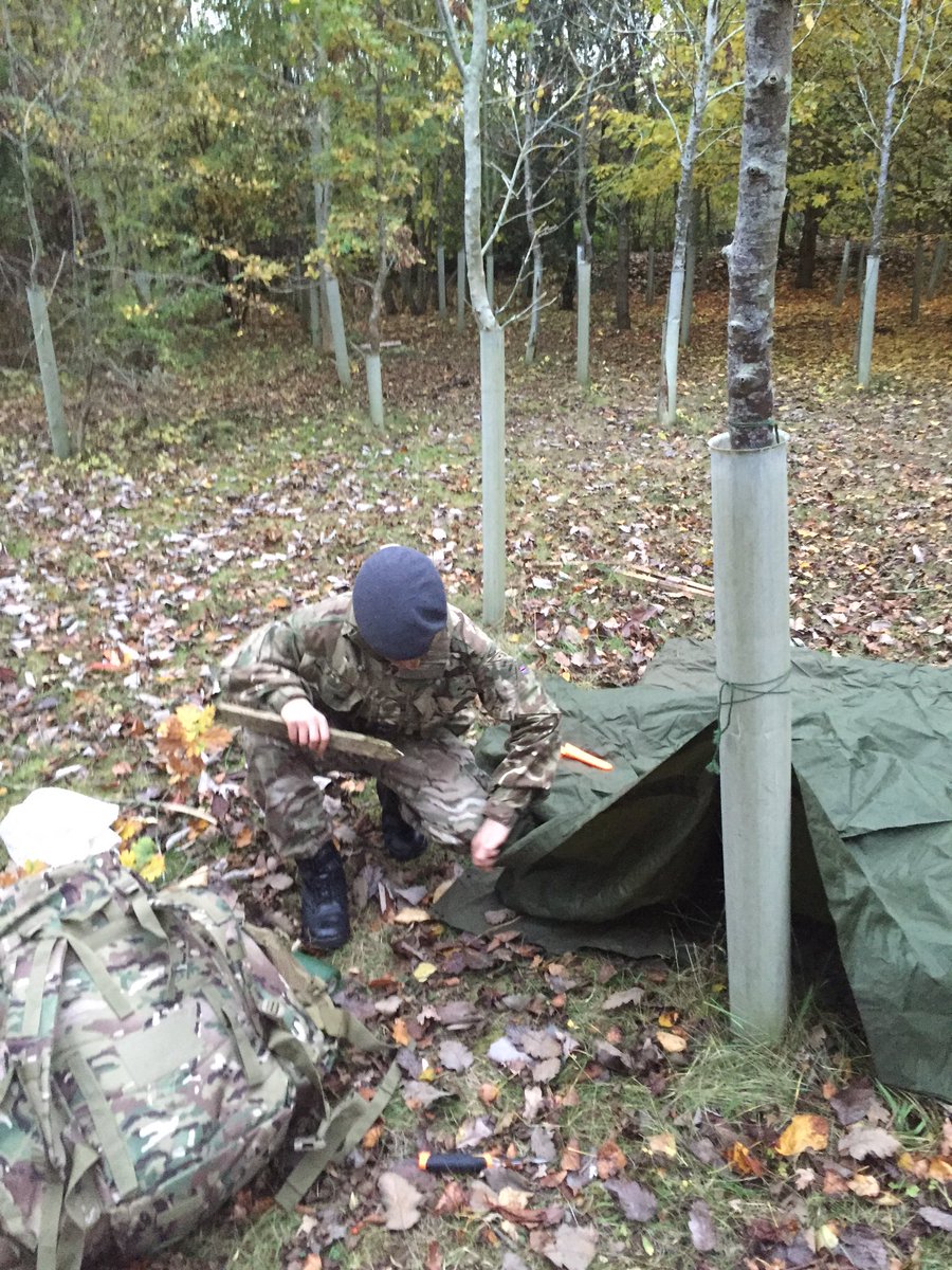 OSA - CCF tweet media
