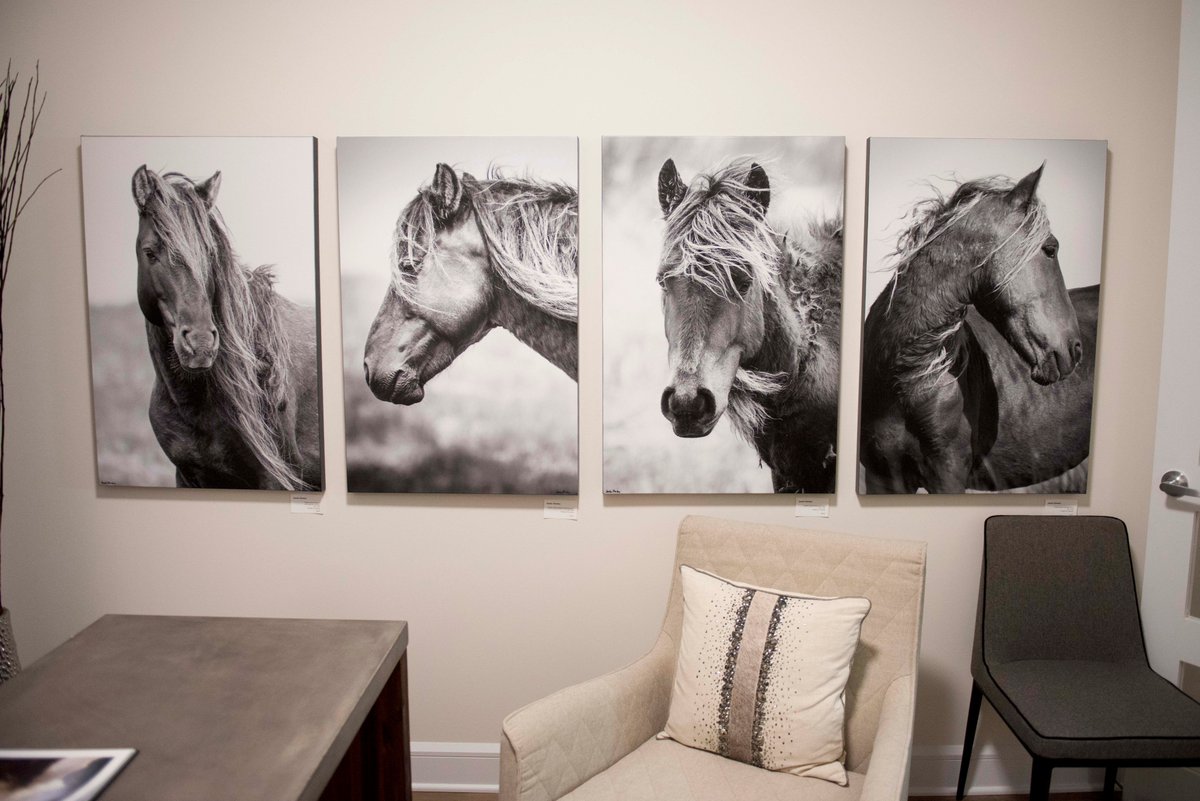 SandySharkey's tweet photo. Honoured to have #SableIsland #wildhorses at #findlaycreek art collection @TartanHomes. Put some #wildonyourwall! https://t.co/4cSV71Hc5s https://t.co/7jpKFB8YQ2