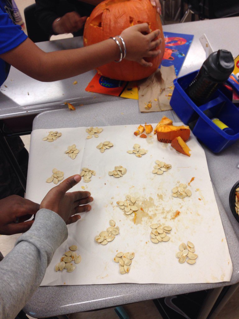 MSHelvey1's tweet image. Pumpkin seeds give us great math opportunities!! #LVMath