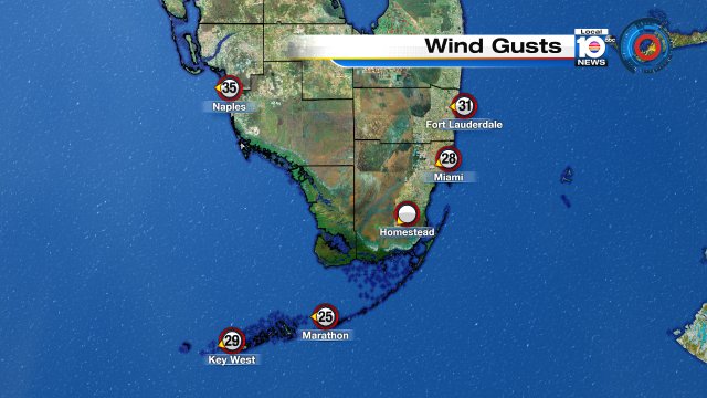Current wind gust in #FortLauderdale is 31 mph! #windadvisory #Flwx https://t.co/vevfQrYrR1