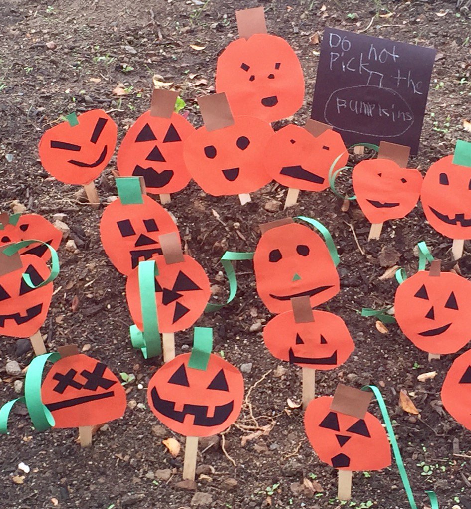 Rm16Jones's tweet photo. Oh my goodness!  Look what popped up in the Stoneridge garden today! #rcsdstoneridge https://t.co/KCl0e0950h
