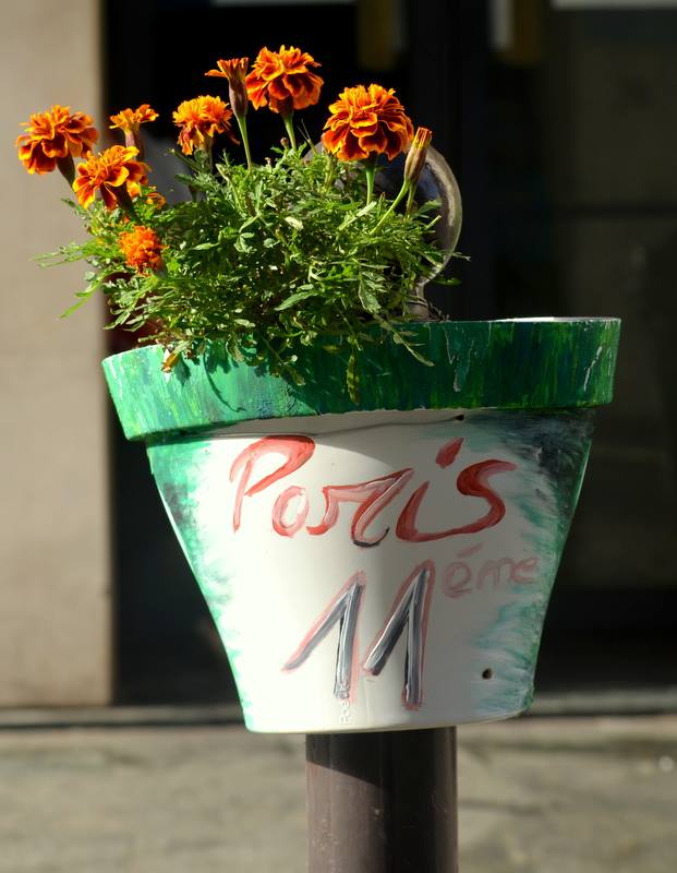 JardinsCurvaVia's tweet photo. Grâce à son talent, un sans-abri végétalise les rues de #Paris de pots de #fleurs . Respect + 100 ! https://t.co/AmyobxQ45S https://t.co/BrhucOVjm1
