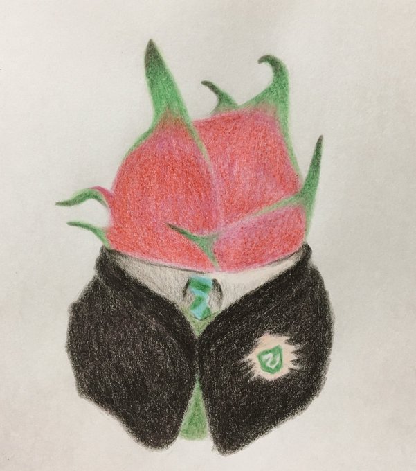 Twoucan ドラゴンフルーツ の注目ツイート イラスト マンガ