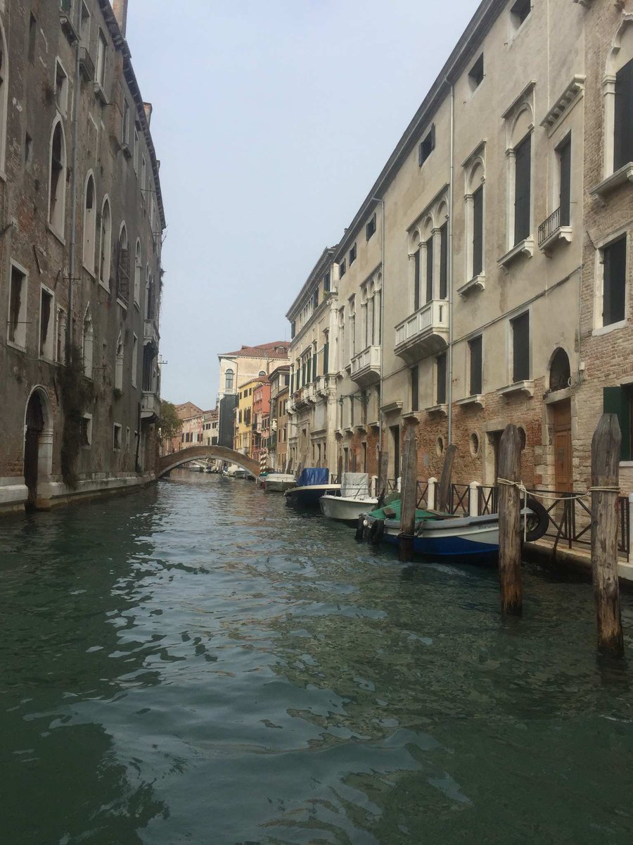 ristoranteamano's tweet photo. #Venice #Italy is surreal! #CheffreysItalianAdventure @travel @EastCoastChefs @travellintable https://t.co/genQ5E9iWh
