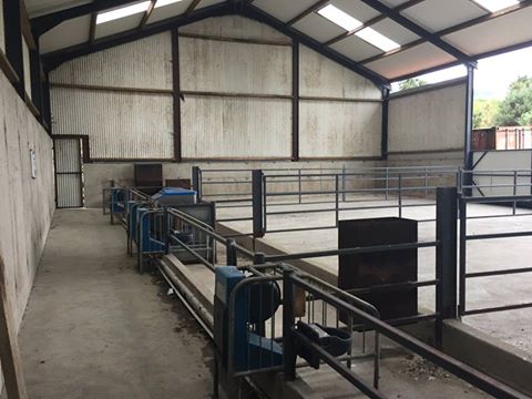 Grasstec Ltd On Twitter Great Example Of A Calf Rearing Shed