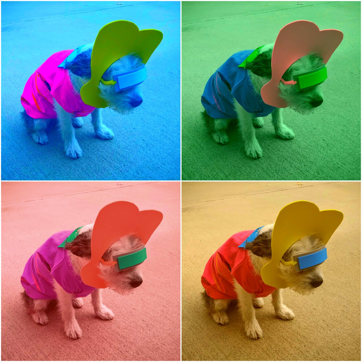 Our office manager <a href="/jacobalcook/">Jacob Cook</a> made this beautiful work of art titled "Bowie Warhol." Can you tell we're obsessed with <a href="/FutureWorm/">Future-Worm!</a>?