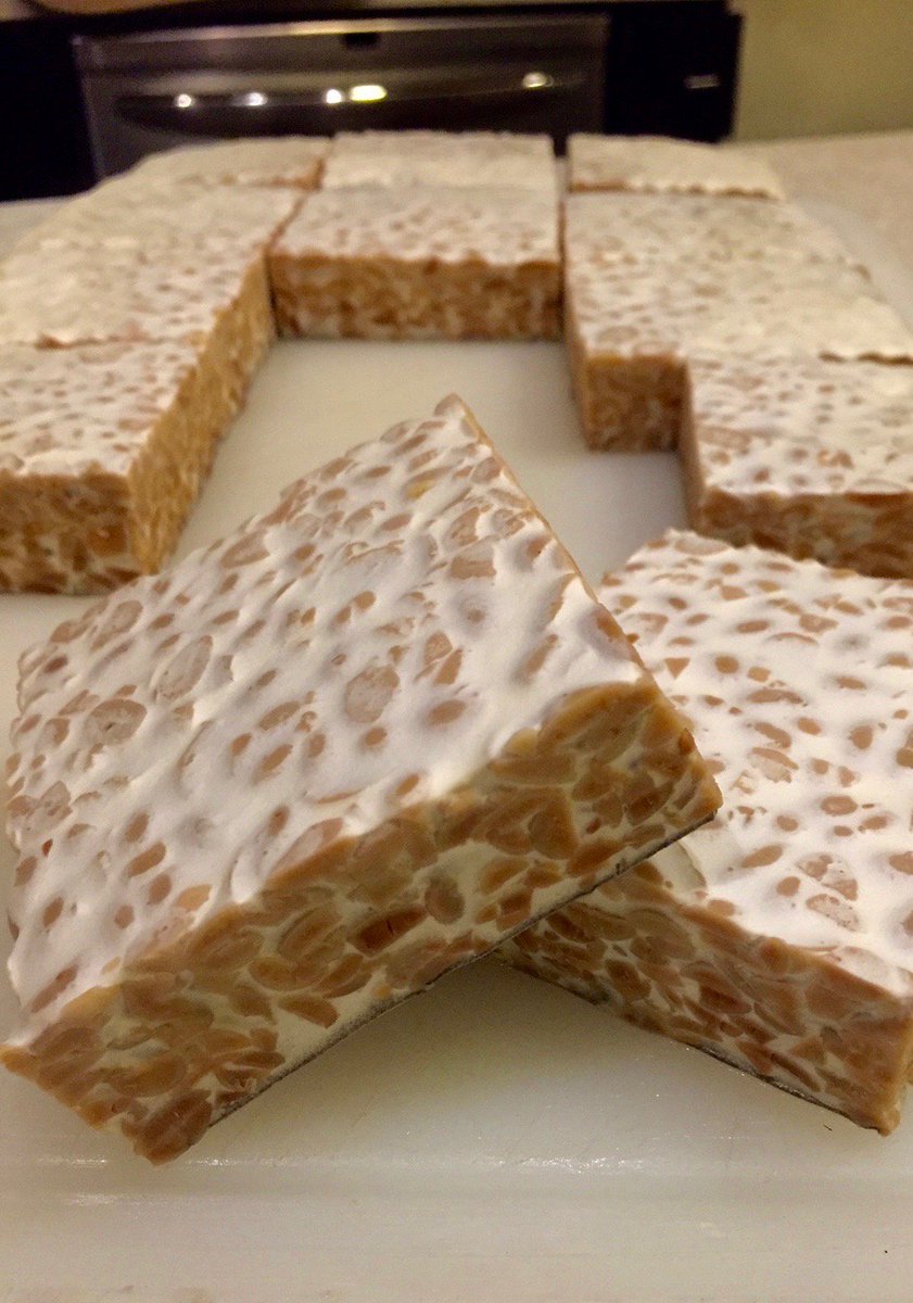 TempehSure's tweet photo. Experimentation Station: Organic, non-GMO Soybean #tempeh in the TempehSure Protein Pod. Nailed it. #DIYProtein https://t.co/WvkH9kVP5e